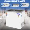 Blue Star 161 Litre Deep Freezer GT5-180NP 2