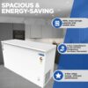 Blue Star Deep Freezer CF3-400MEW 1 Blue Star Deep Freezer CF3-400MEW 1