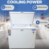 Blue Star Deep Freezer CF4-230NEYW 2