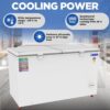 Blue Star Deep Freezer CF5-460NEYW 2 Blue Star Deep Freezer CF5-460NEYW 2