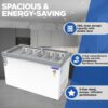 Blue Star Glass Top Deep Freezer GT5-410N_NP 1