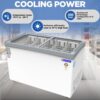 Blue Star Glass Top Deep Freezer GT5-410N_NP 2