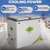 WESTERN 224L Deep Freezer D300H224 2 WESTERN 224L Deep Freezer D300H224 2