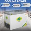 WESTERN 311L Deep Freezer F350GL25 2