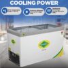 Western 444L Deep Freezer F450GL25 2 Western 444L Deep Freezer F450GL25 2