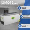 Western 536L Deep Freezer F550GL25 1 Western 536L Deep Freezer F550GL25 1