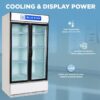 Blue Star Visi Cooler SC1000F 2 Blue Star Visi Cooler SC1000F 2