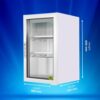 Western Visi Cooler SRC30HC-GL 4