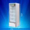 Western Visi Cooler SRC380HC-GL 4