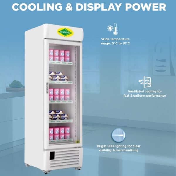 Western Visi Cooler SRF900-GL 2